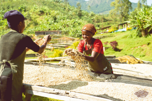 Rwanda Filterkaffee von Somaho