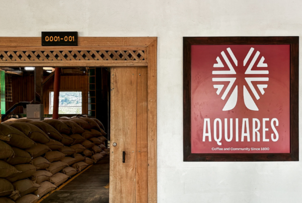 Costa Rica Coffee, Centroamericano, African Washed, Planting Costa Rica, Ocafi